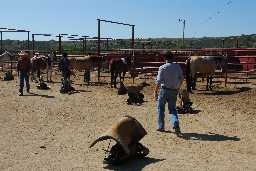 Learning to saddle your mount